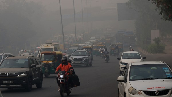 Vehicles remain largest contributors to Capital’s pollution — with numbers growing every year