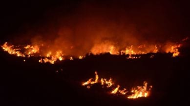 PPCB officials said that Punjab historically has accounted for a large share of stubble fires in North India.