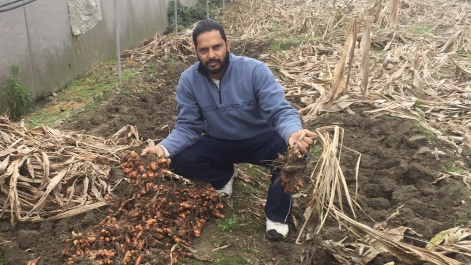 Seeds of Change How Punjab farmers are cultivating a network for zero