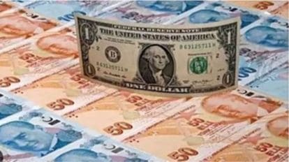 Forex reserve US dollar