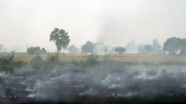 To plug gaps in farm fires ‘undercount’, govt agencies fine-tuning ‘burnt area’ mapping