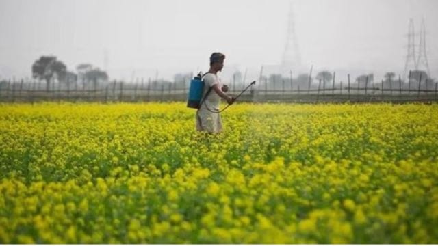 gujarat farmers