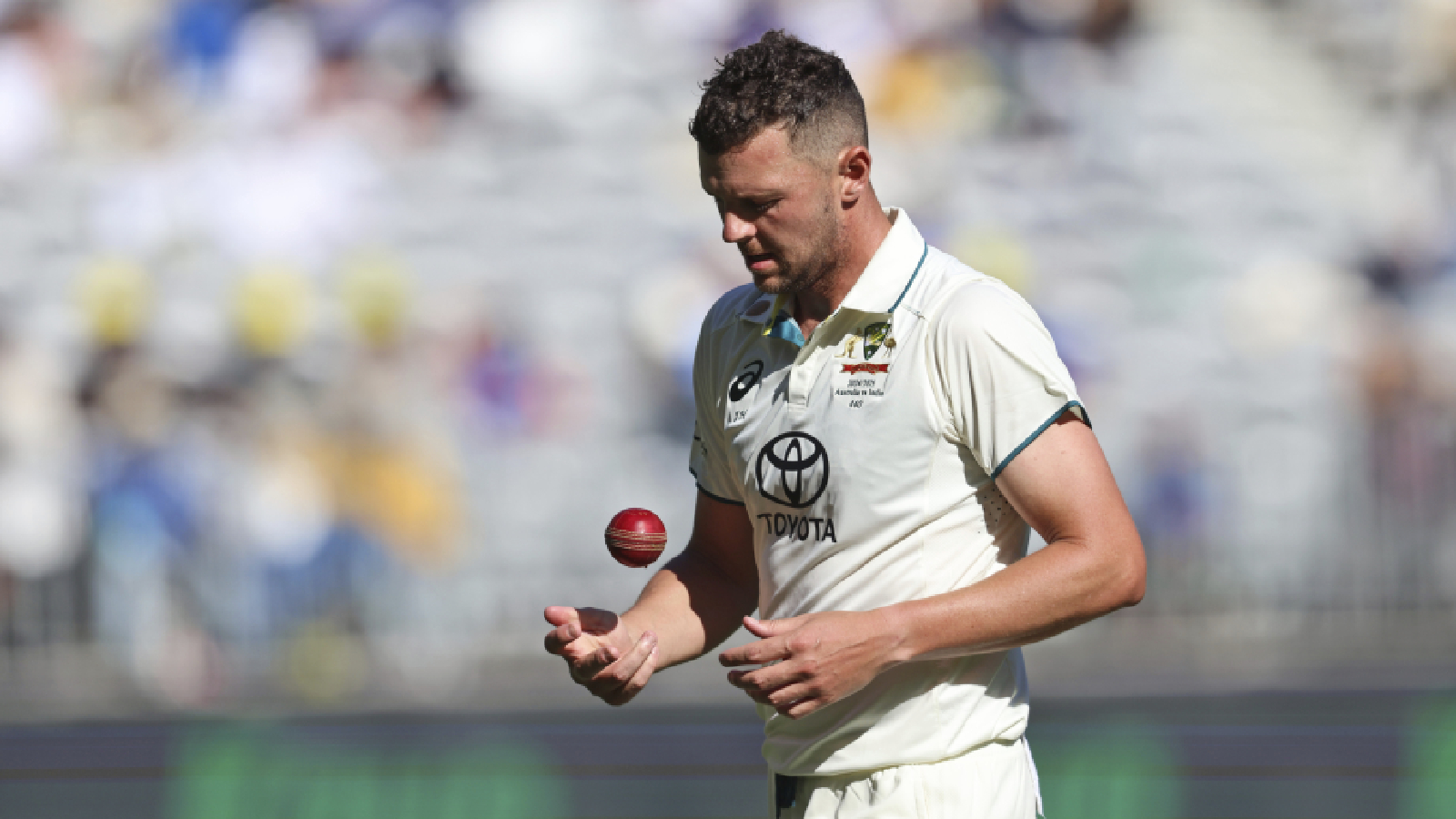 Australia vs India Josh Hazlewood to miss Adelaide pinkball Test due