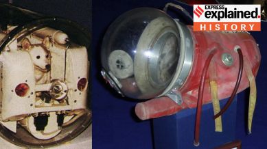 Laika space dog, Sputnik 2, Laika, USSR, space