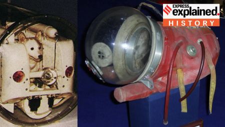 Laika space dog, Sputnik 2, Laika, USSR, space