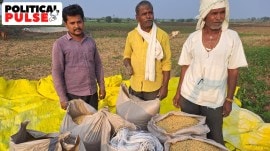 In the fields, anger takes root: Soyabean farmers feel cheated by prices