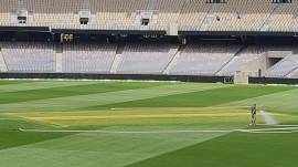 IND vs AUS: The Perth pitch is likely to retain moisture come match day, effectively ruling out the possibility of major deterioration over the course of five days. (X/Daniel Brettig)