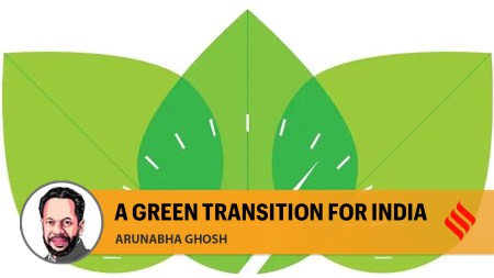 The green transition India needs