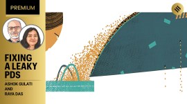 Public Distribution System must be reformed to fix leakage, invest in farming