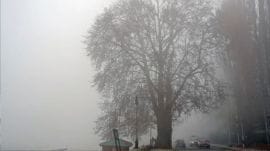 The lowest minimum temperature recorded in Maharashtra was 5.5 degree Celsius in Jeur, Solapur, on Thursday.