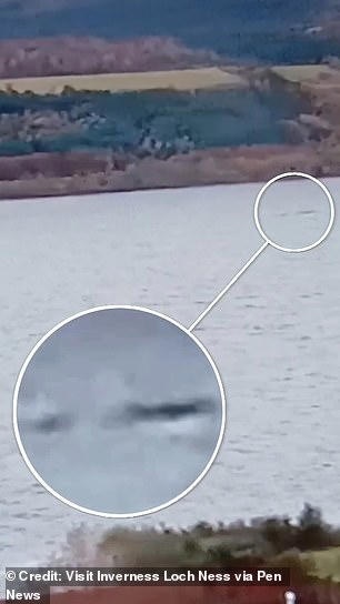 recent sighting