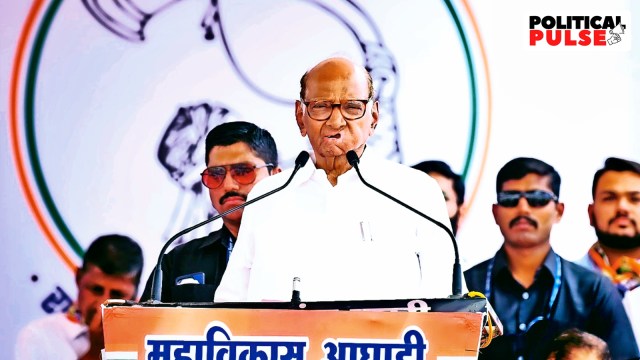 Sharad Pawar, Ajit Pawar, Maha Vikas Aghadi, Nationalist Congress Party (NCP), Maharashtra Assembly Elections 2024, Mumbai news, Maharashtra news, Indian express, existent   affairs