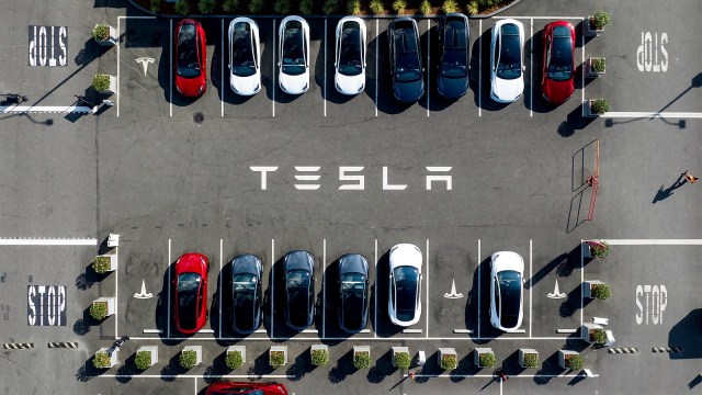 Tesla stocks, elon musk
