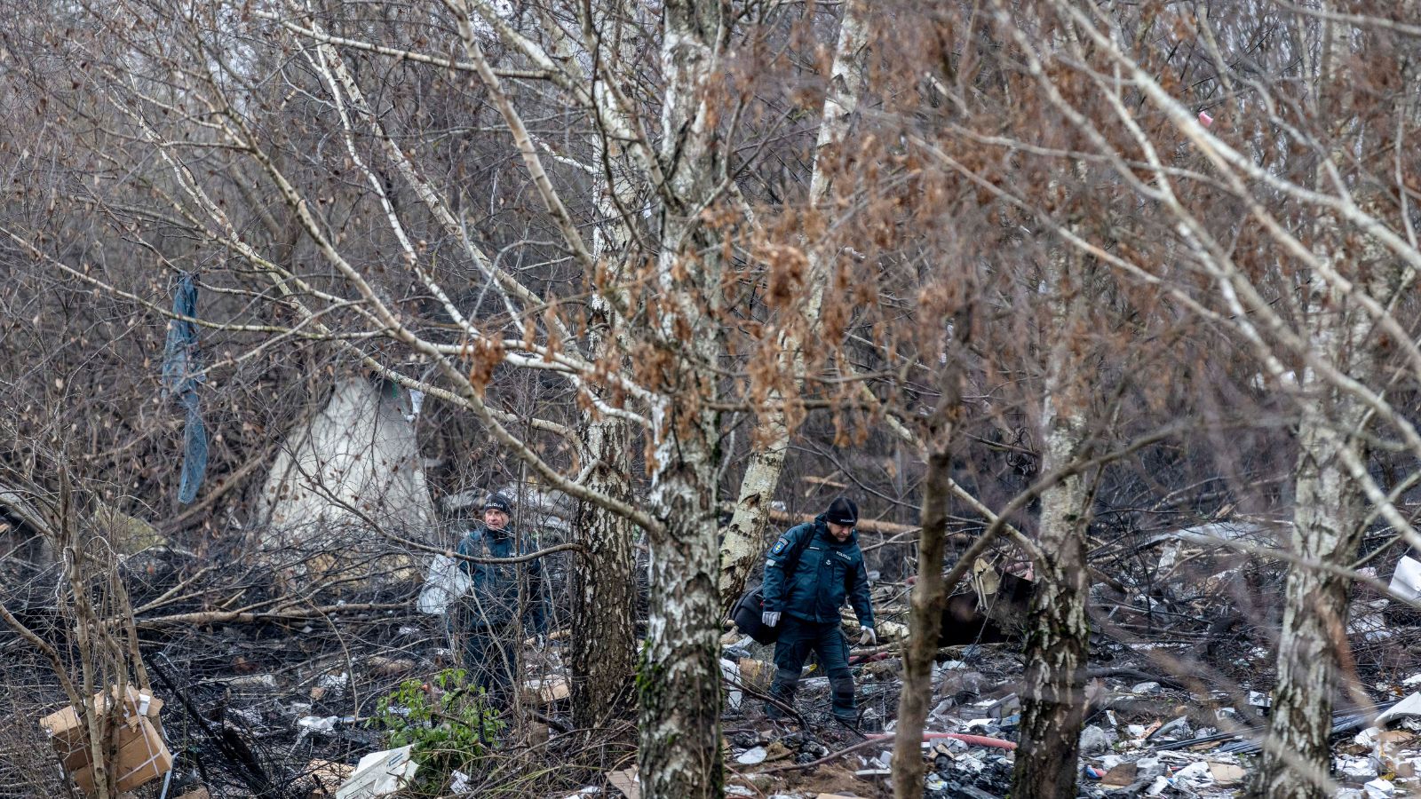 Pilot killed in plane crash in remote New York woods, two dogs survive ...