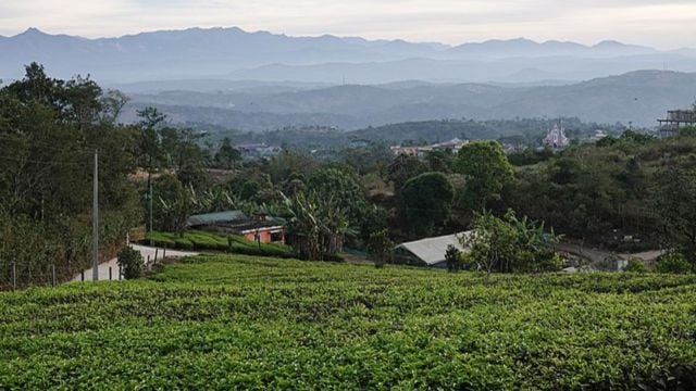 Western Ghats ecologically delicate  areas