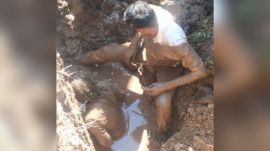 The incident took place around 11 am on Wednesday when the joint team of four researchers from IIT-Delhi and IIT-Gandhinagar had gone to Lothal – the ancient port city – to study paleoclimatology.