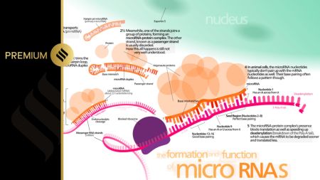 cancer, microRNA