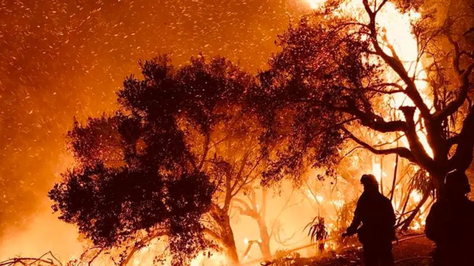 Much larger wildfires raged in California