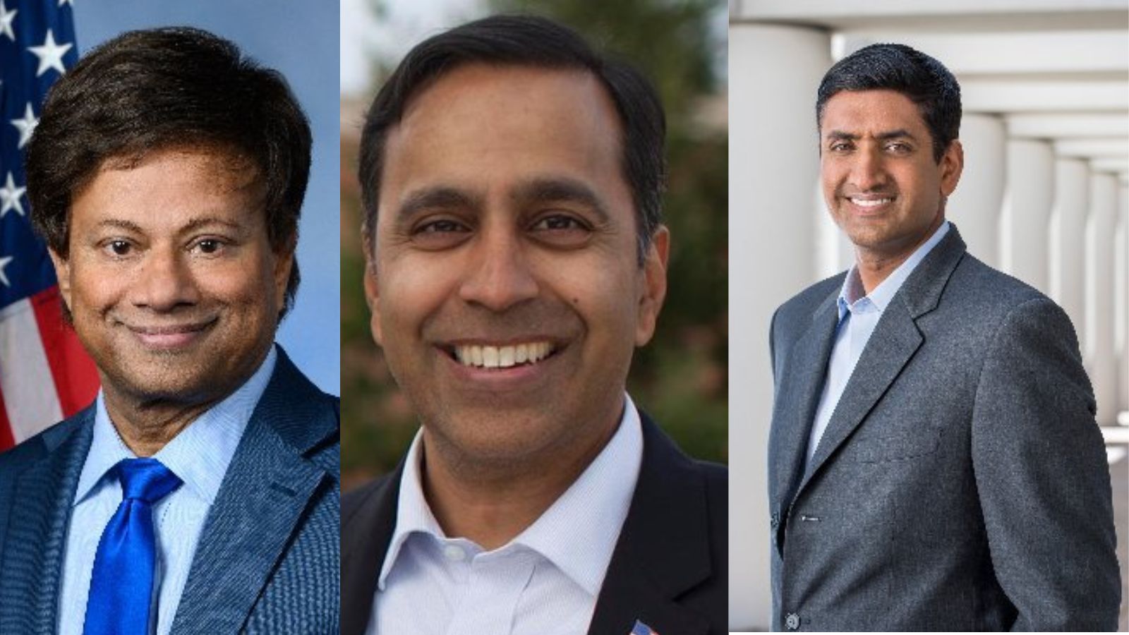 US election results Raja Krisnamoorthi, Shri Thanedar, Ro Khanna among