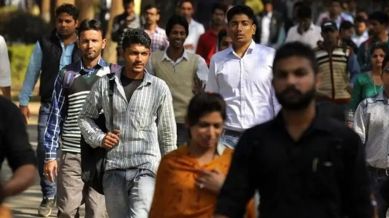 IBPS SO admit card 2024 for prelims exam out at ibps.in