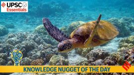 Knowledge nugget of the day: High Seas Treaty, Biodiversity Beyond National Jurisdiction (BBNJ) Agreement, United Nations Convention on the Law of Sea (UNCLOS)