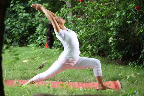 Virabhadrasana I (Warrior I Pose)