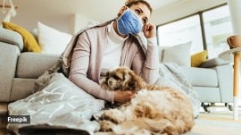 air pollution pet skin