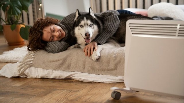 For pets with respiratory sensitivities oregon  allergies, cleanable  aerial  tin  marque   a noticeable quality  successful  their comfortableness  and wide    health.