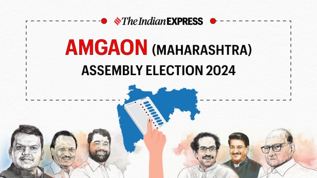 Amgaon Election Result, Amgaon Election Result 2024, Maharashtra Election Result 2024