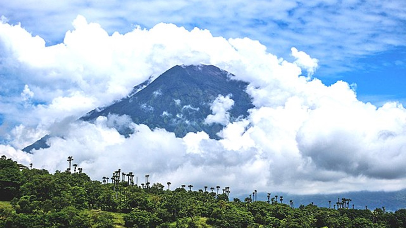 Flights to Bali resume after volcanic eruptions; find out how ‘vog’ impacts health Health News