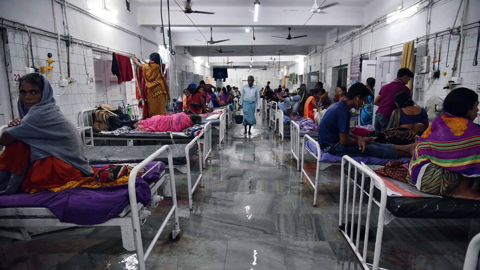Dead man’s eye goes missing at Bihar hospital, doctors blame rats, family suspects foul play