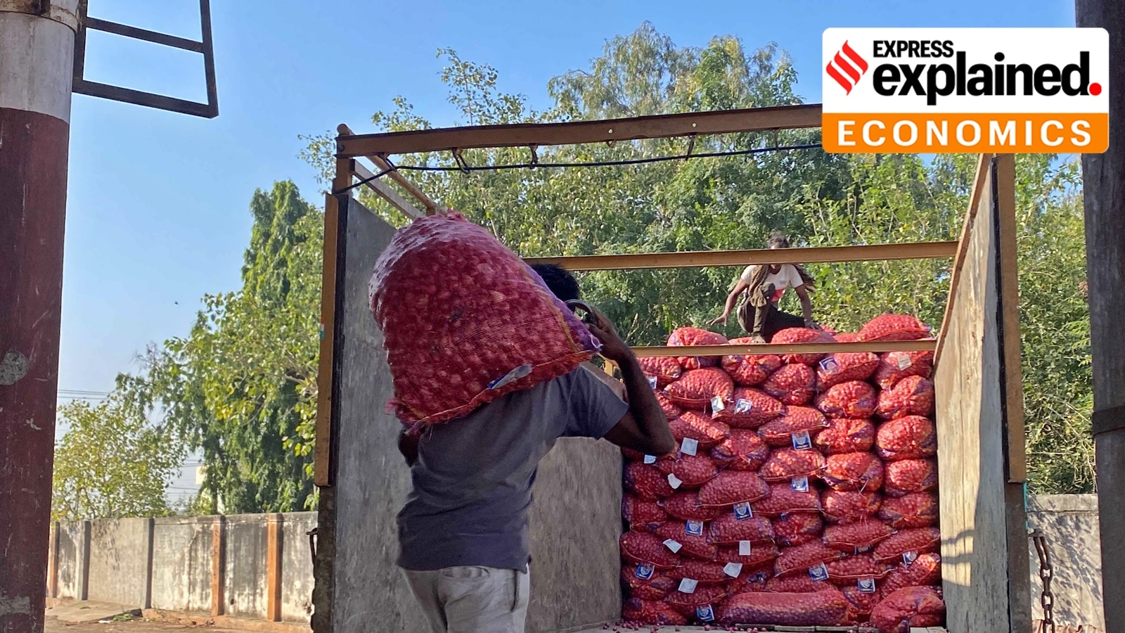 Onion being loaded on a truck in Rajkot APMC mandi.