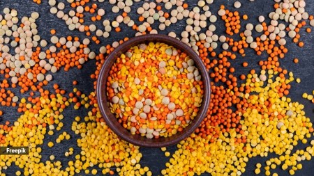 dals contribute substantially to protein intake