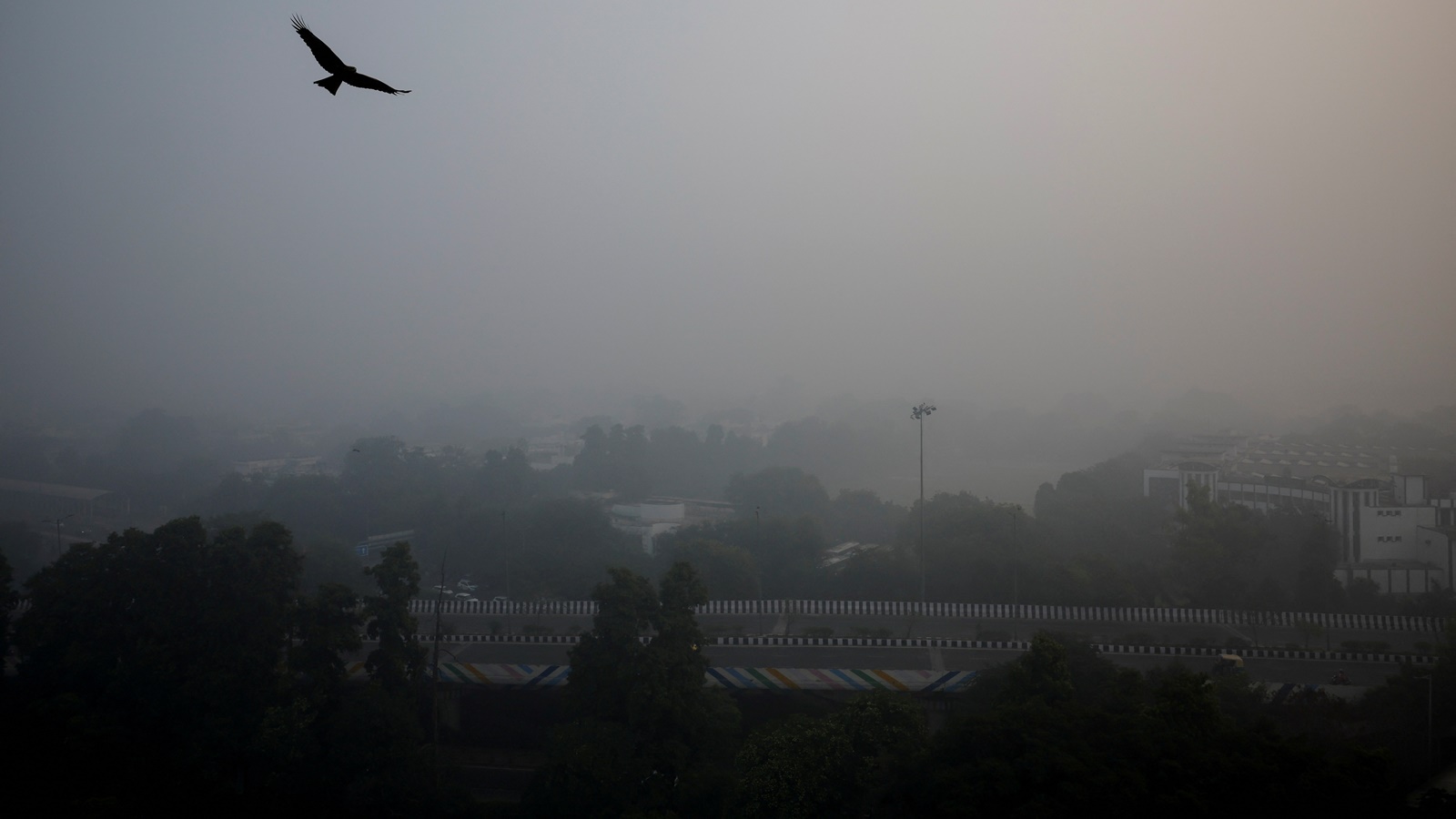 Delhi gasps for breath with &#8216;severe&#8217; air quality; Ahmedabad, Bengaluru least polluted among major cities