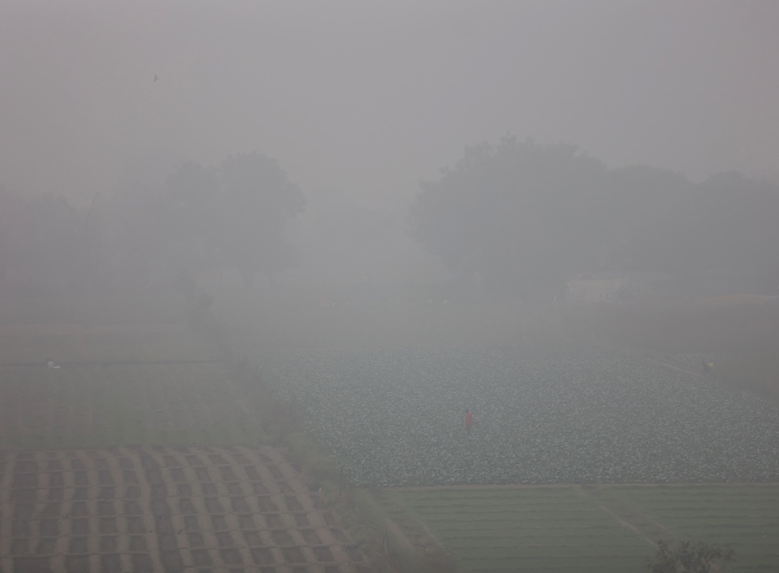 Smog Engulfs Delhi-NCR For Second Day In Row, AQI Dips To ‘severe’ In ...