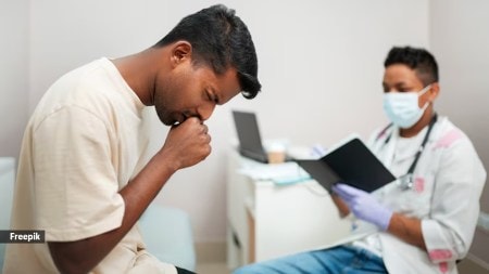 What does the Rashomon effect in healthcare mean?