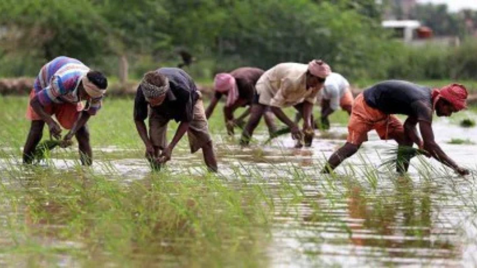 Financial bonus, soil-health cards, grievance redressal: how Haryana is setting a benchmark for other states