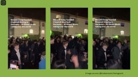 Taambdi Chaamdi, the viral Marathi track, is being played at a German party