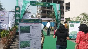green polling station, maharashtra assembly elections, pune news, indian express