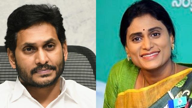 APCC president   Y S Sharmila and erstwhile  Andhra Pradesh main  curate  Y S Jagan Mohan Reddy. (File Photos)