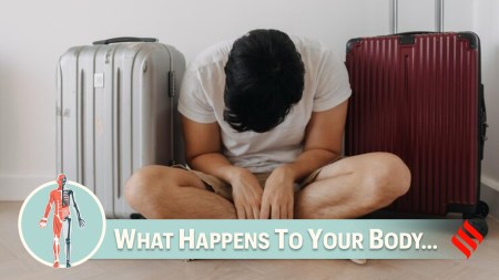 When you travel across time zones, Dr Chaurasia said, your body struggles to align with the local time