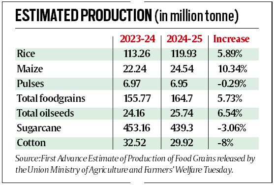 Kharif rice output set to hit record of 119.93 MT