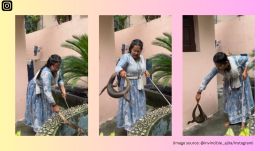 Chhattisgarh animal rescuer rescues monitor lizard with bare hands