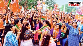 Maharashtra voters, Maharashtra muslim voters, Maharashtra Assembly Elections 2024, Maharashtra Assembly polls, Mahayuti, Maha Vikas Aghadi, Maharashtra Congress, Mumbai news, Maharashtra news, Indian express, current affairs