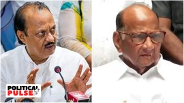 At 20, most of the contests between the parties led by the uncle-nephew duo are concentrated in Western Maharashtra. While the NCP has fielded most of its sitting MLAs, the NCP (SP) has relied mostly on newcomers.