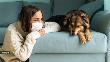 For pet owners, air pollution can mean an uptick in vet visits or the need for specialised care to manage allergies