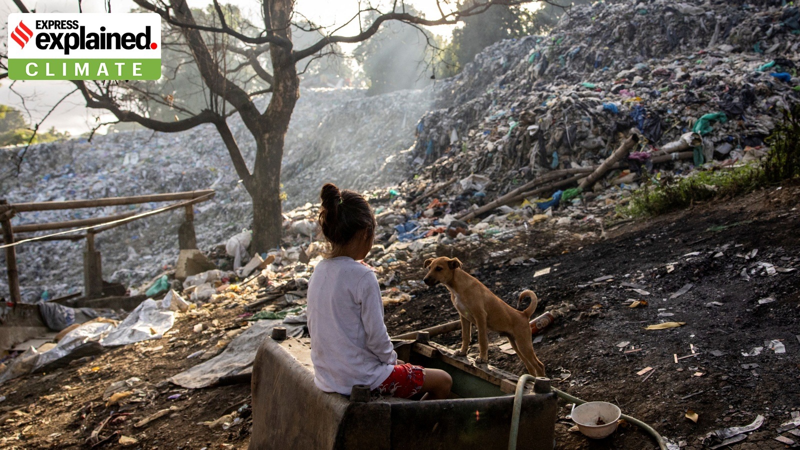 Can suing fossil fuel companies slow plastic production?