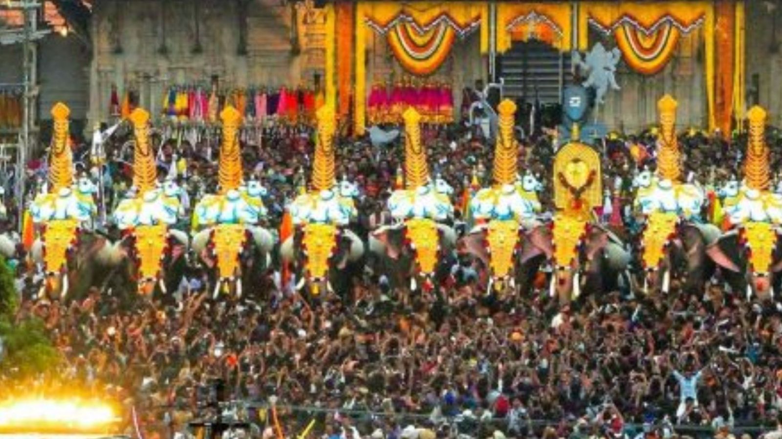 ‘No religion mandates use of elephants in festivals’: Kerala High Court wants curbs on tuskers at festivals, Pooram officials upset | India News - The Indian Express