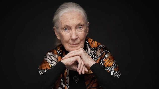 Jane Goodall