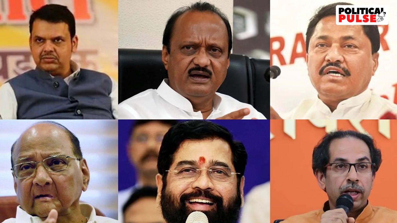 For these six, the career-defining Maharashtra elections proved resounding